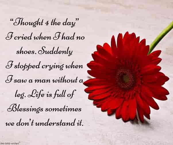 inspirational good morning sms with red flower
