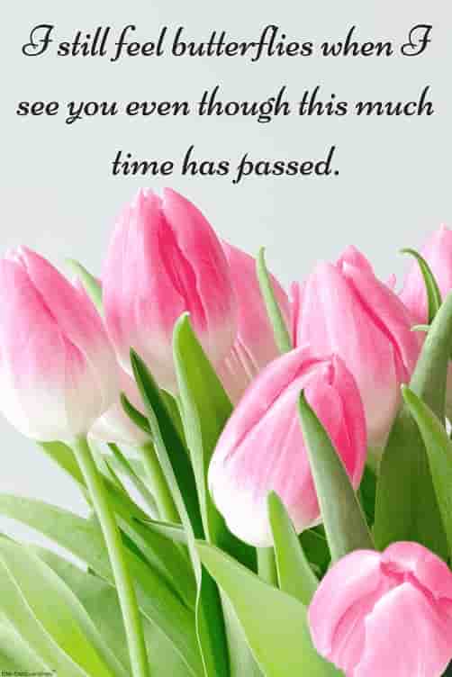love quote about time with pink flowers