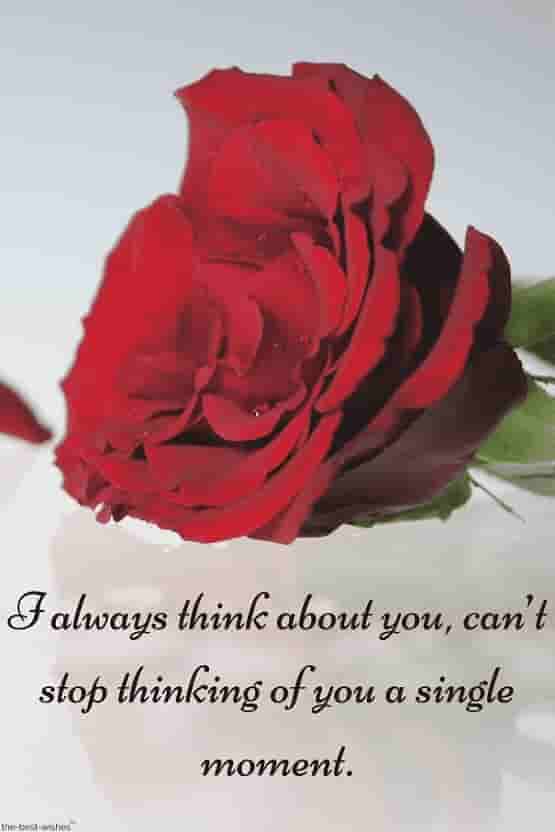 love quotes for bf with red rose
