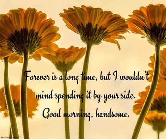 lovely love message with sunflowers