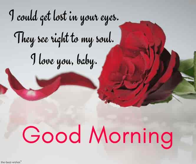 loving you good morning text for her with red rose