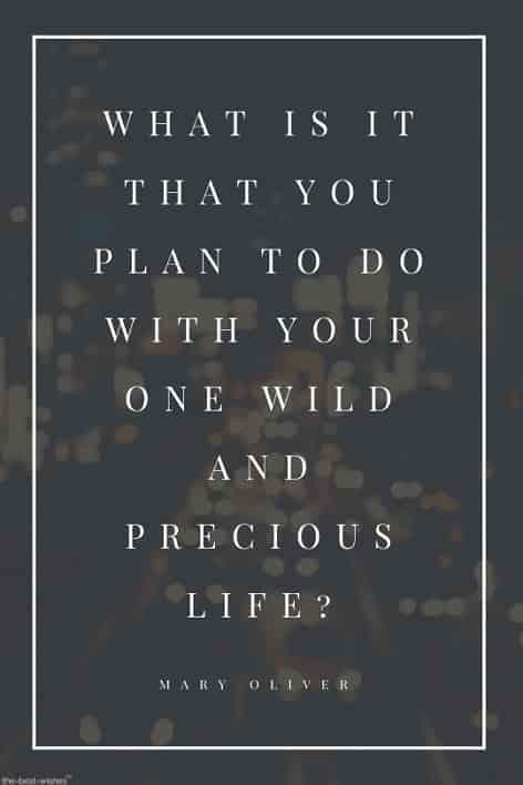 mary oliver life quote wallpaper