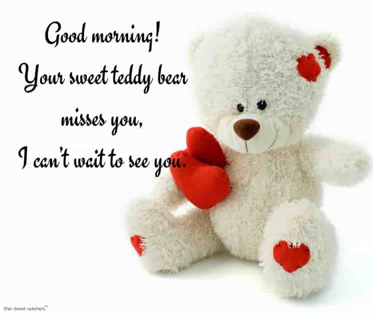 miss you text message with teddy
