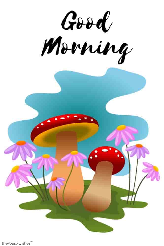 morning images with animated mushrooms