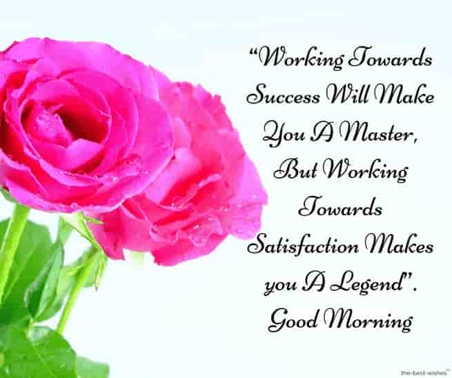 motivational good morning sms with pink rose