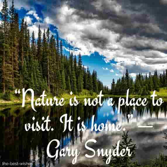 nature is not a place to visit it is home