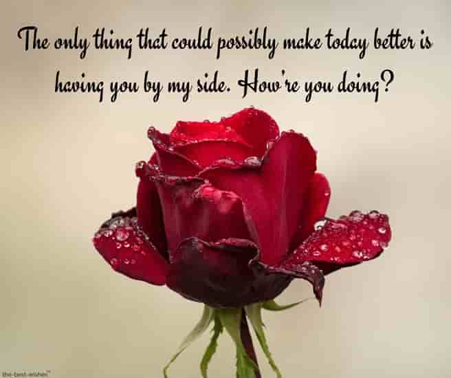 normal good morning text for her with red rose