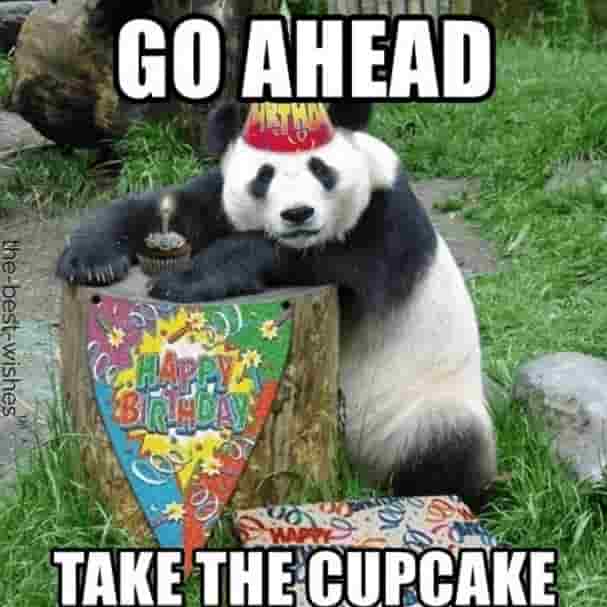 panda memes for birthday