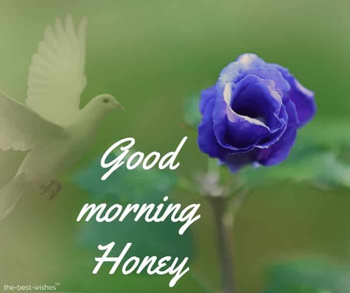 photo of good morning honey