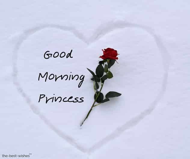 picture of good morning princess