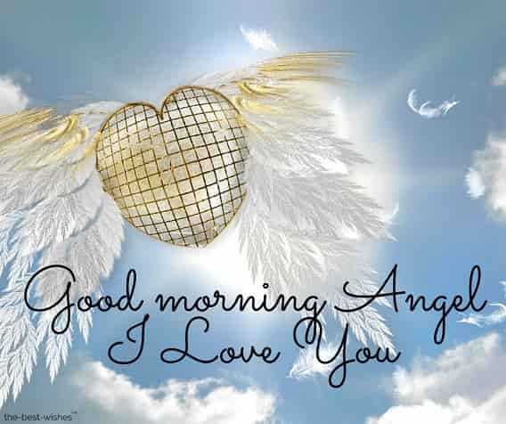 pictures of good morning angel