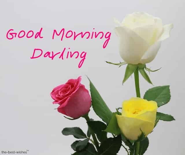 pictures of good morning darling