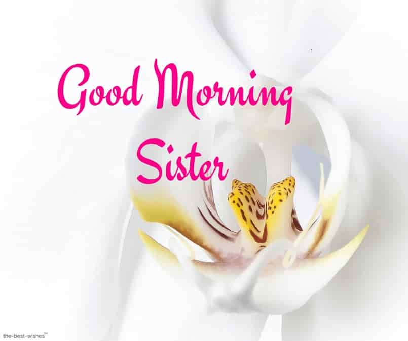 pictures of good morning sister