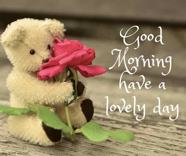 101+ Cute Good Morning Teddy Bear Images | Best Collection