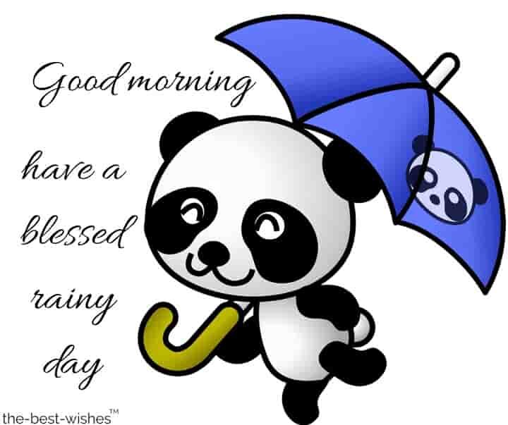rainy-good-morning-wishes-with-cute-panda