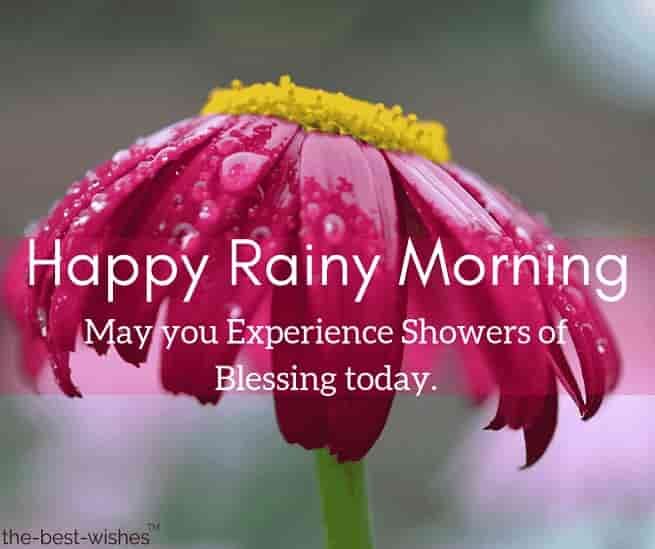 31 Perfect Good Morning Wishes For A Rainy Day [ Best Images ]