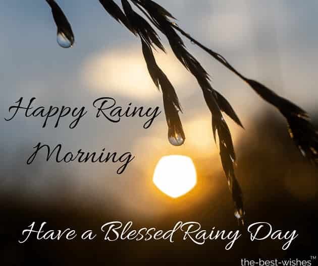 rainy-morning-wishes