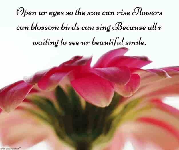 romantic good morning sms with flower