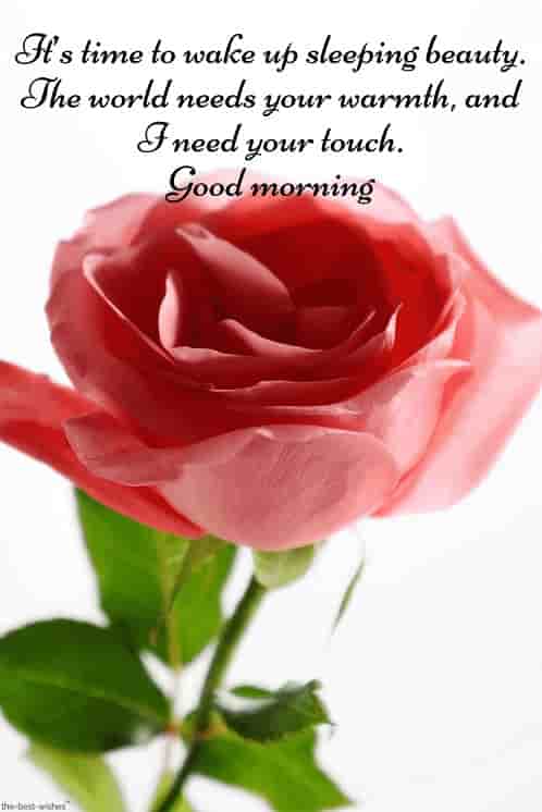 romantic message for her with hd rose pic