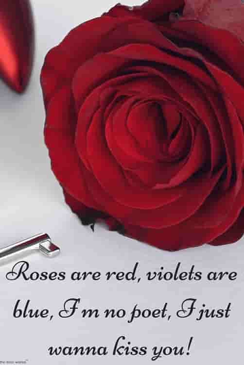 sayings for her with red rose
