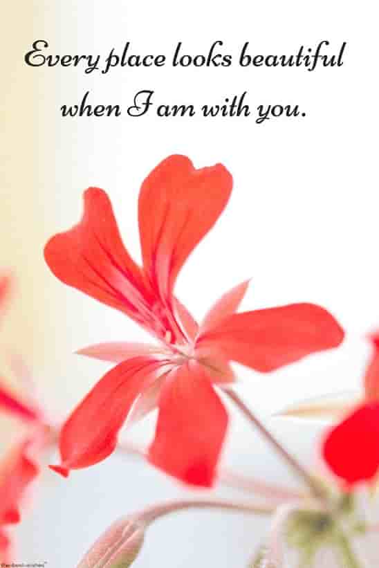 short love quotes for him with flower