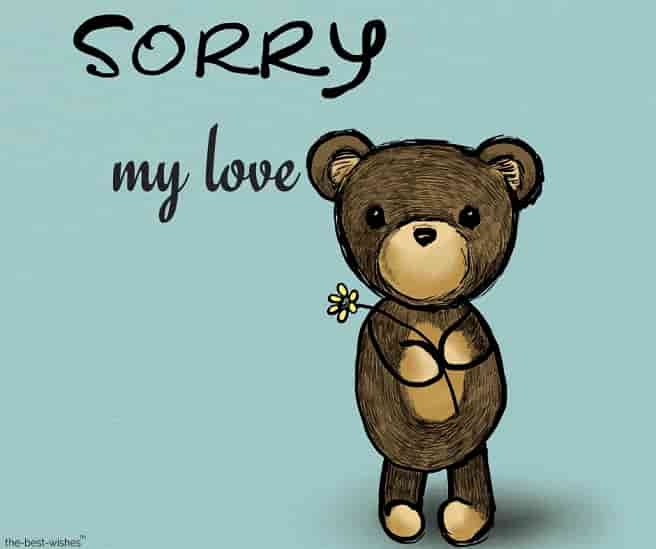 sorry my love with brown teddy bear