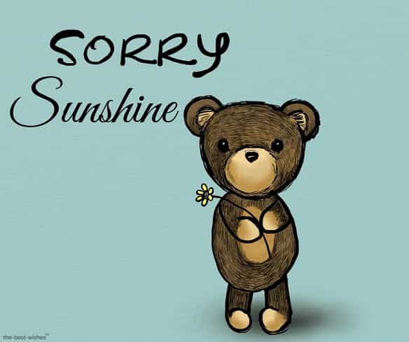 sorry sunshine with cute teddy bear