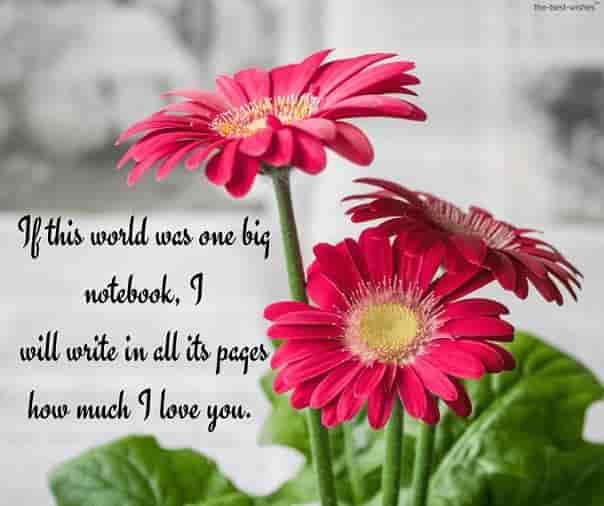 sweet love letter to my sweetheart with flowers