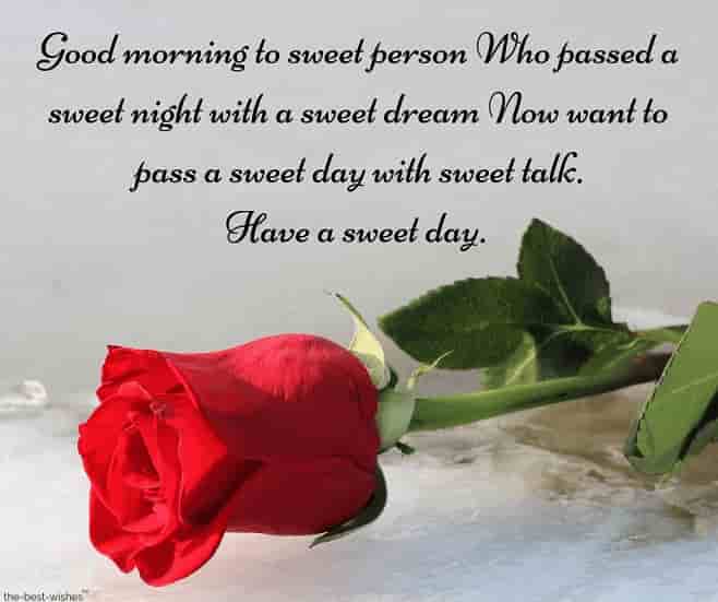 sweet sms to sweet person with red rose