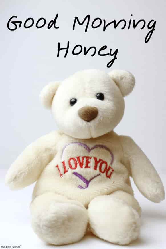 teddy bear good morning honey images