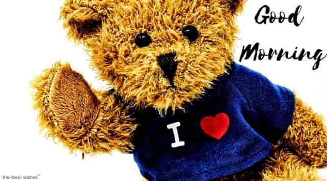 teddy images with love