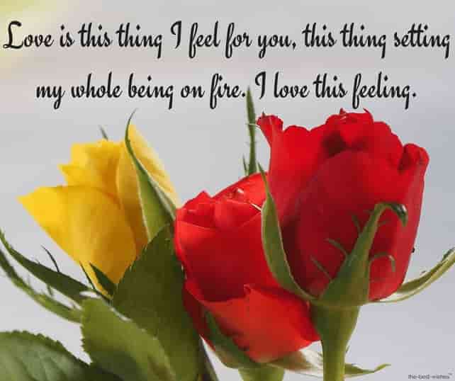 text message for her with roses images