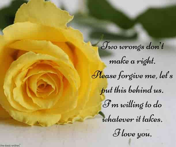 text messages for him saying sorry with yellow rose