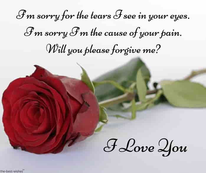 text messages to get him back i m sorry with red rose