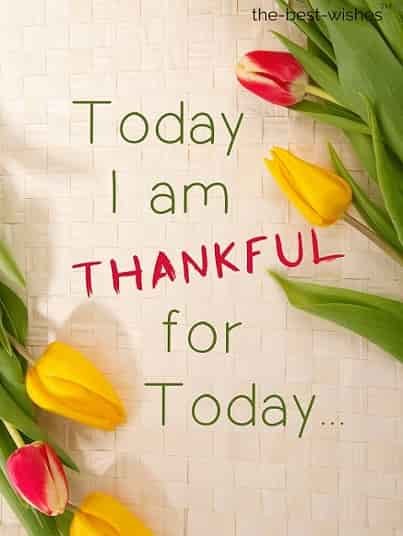 thankful thanks grateful thank you good morning quote images