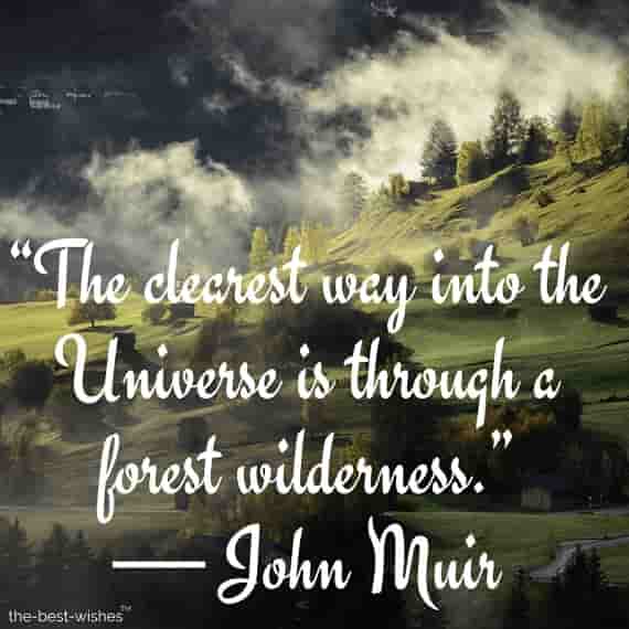 the clearest way into the universe is through a forest wilderness