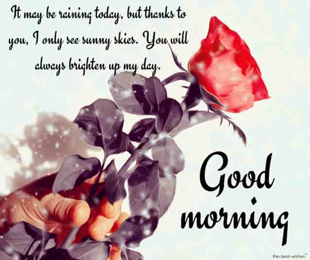 the most beautiful love good morning messages to my wife with red rose