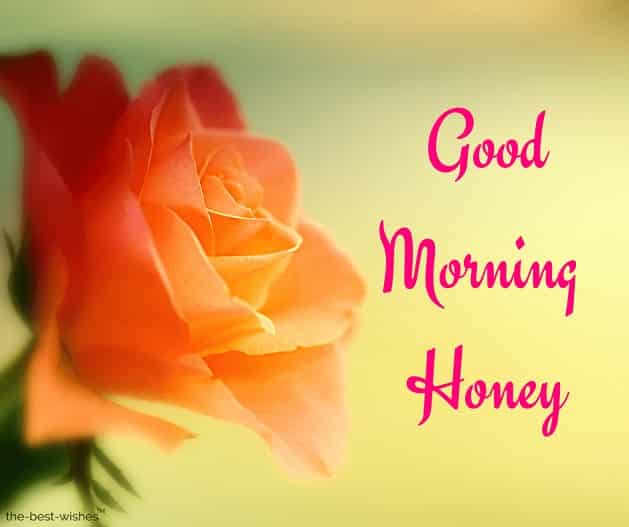 very good morning honey
