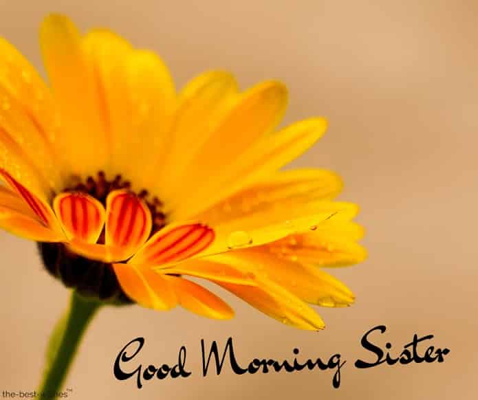 very good morning sister