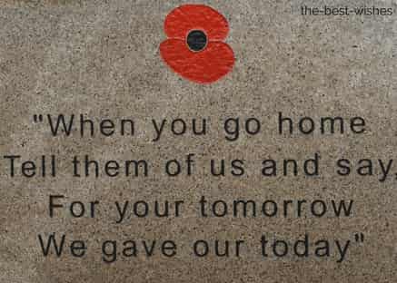 war memory poppy monument good morning quote