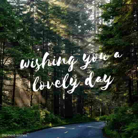 wishing you a lovely day