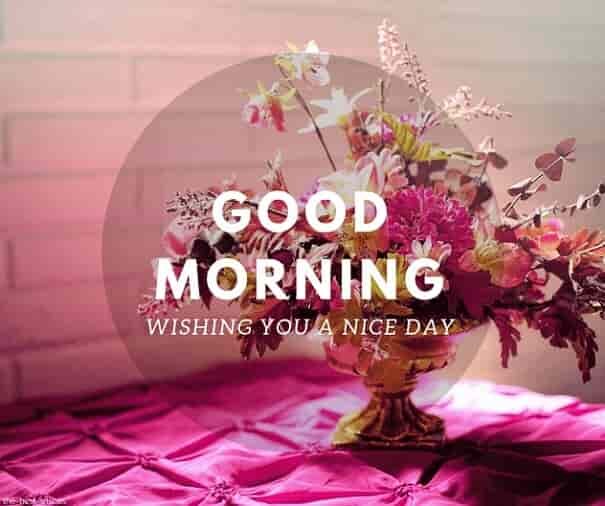 wishing-you-a-nice-day-good-morning