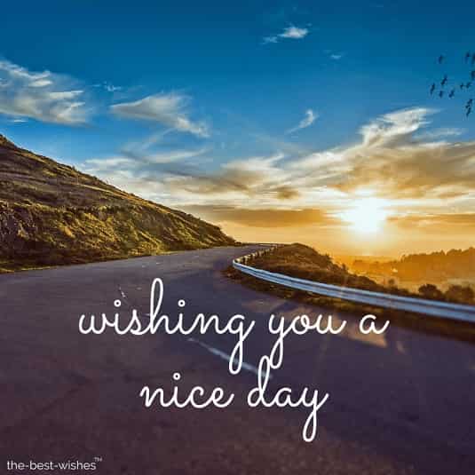 wishing you a nice day