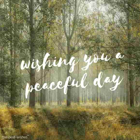 wishing you a peaceful day