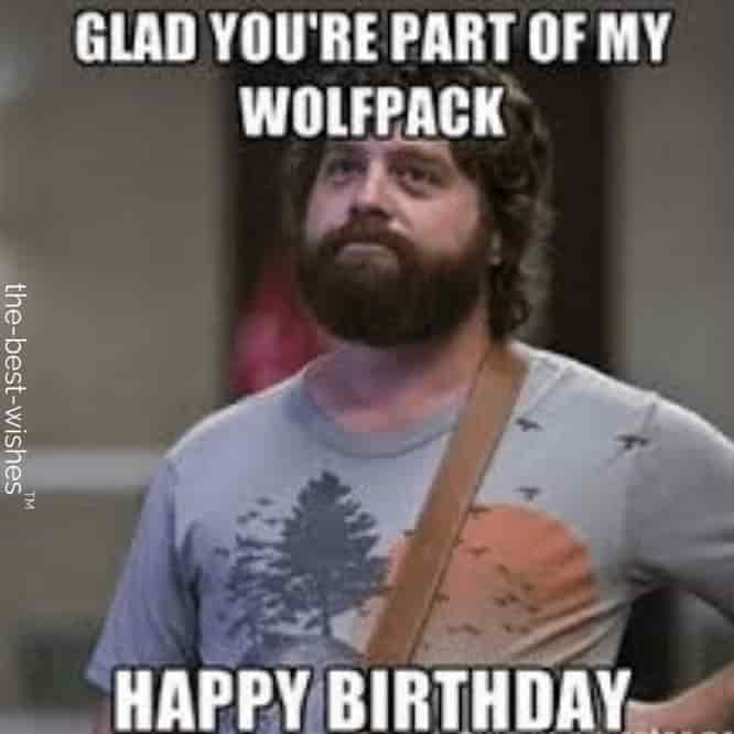 wolfpack happy birthday memes wishes